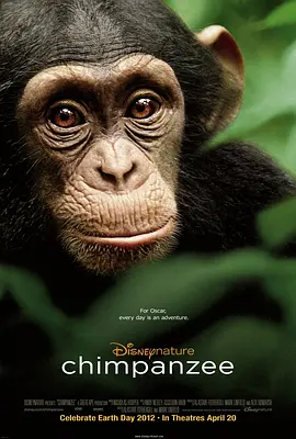 黑猩猩 Chimpanzee (2012)