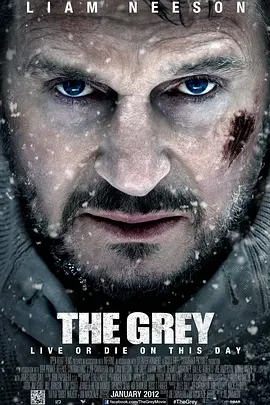 The Grey