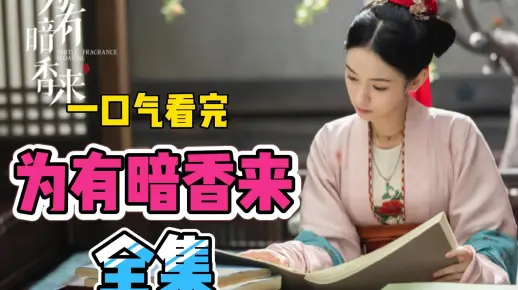 电视剧《为有暗香来》全集免费在线观看解说完整版